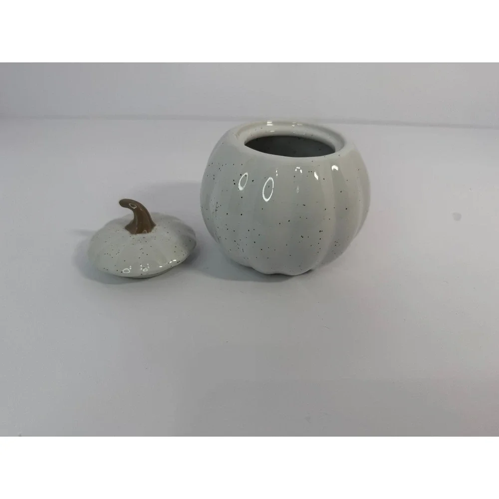 10SS Artisan Collection Speckled White Pumpkin Stoneware Lidded Jar Fall Decor